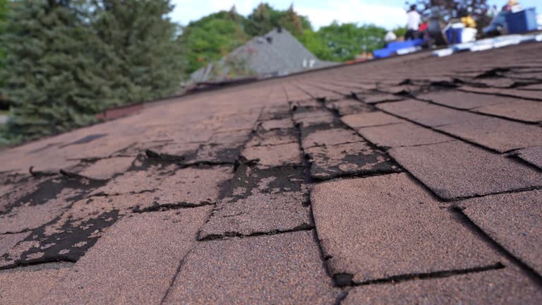 Roof Insulation Installation in Philippi, WV